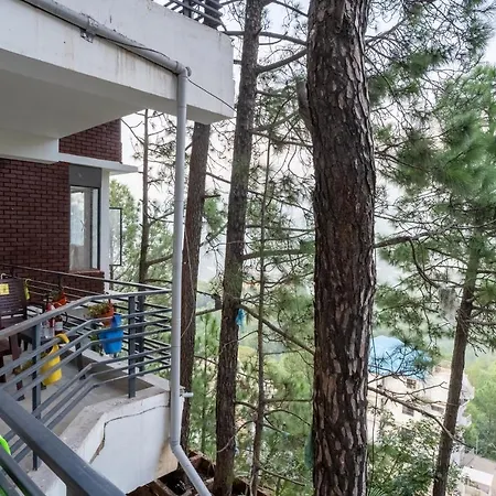 The Hill Crest Kasauli Apartment Exterior photo